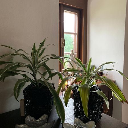 Sancta Katharina Guest House Rozvadov Exterior photo